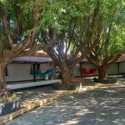 Managua Hotel Oasis Hotel Exterior