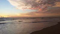 Ocean View - Ocean View