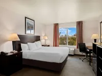 Comfort Inn & Suites Creswell Hotels in Lane County