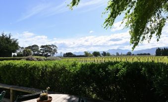 St Leonards Vineyard Cottages