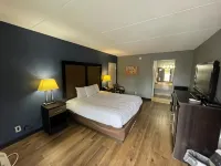 이코노 로지 포레스트 시티