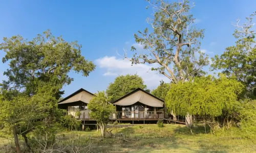 Leopard Trails Yala