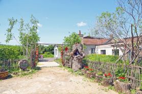 Forest Yard Guesthouse