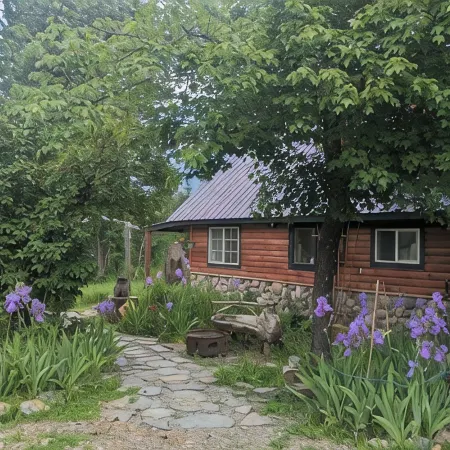 Cabin on a working homestead in Heron, Mt.  " Heifer, Pork and Pecker Farm"