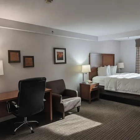Country Inn & Suites by Radisson, Battle Creek, MI