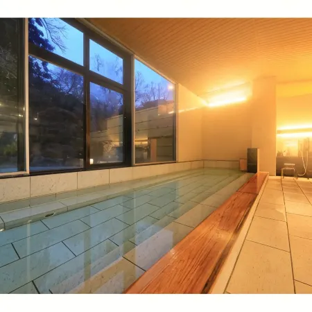 Tsukuba Onsen Hotel