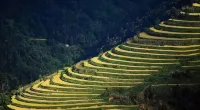 Shidian Jinhua Homestay