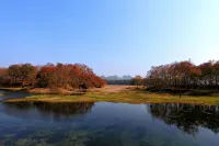 Guilin Guzhen Inn (Dawei Guzhen Inn)