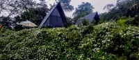 Yarumo Lodge, Río Celeste Black Chalets - 3-Star