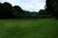 Camp Milagrosa Boso-Boso Antipolo - Pet friendly