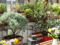 Ostello Bello - Milano Duomo Hoteles cerca de Dársena de Milán