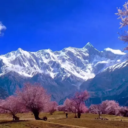 Lhasa Xiyun Hotel