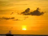 GAIA Barbados! 2 BD Home 5min walk to the beach Hotels in Hastings