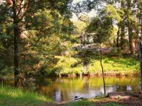 Kookaburra's Perch Tiny House. Secluded, Peaceful and Dog Friendly. Hotels in Warburton