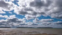 Wind Swept PinesNewly renovated, close to water 3 bedroom cottage - Boutique