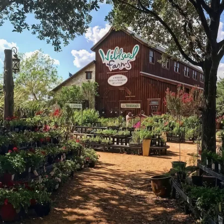 1800's Cabin W/Farm Cats! Hot Tub/Close to Downtown! Cactus- Voted Most Romantic