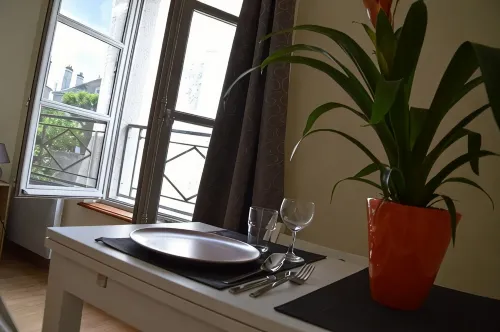 Charming studio in the heart of Amboise with gorgeous views of the Château! - Condos