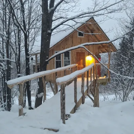Cozy warm treehouse with Amazing views!  Winter Paradise! Hike from cabin