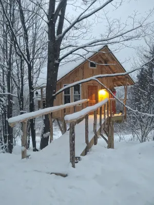 Cozy warm treehouse with Amazing views!  Winter Paradise! Hike from cabin - Alphydda