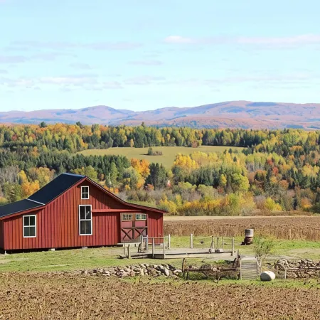 Mountain View Cabins #2