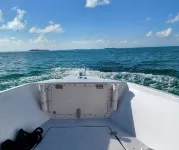 Off the beaten path in one of Islamorada’s hidden gem of a community - บังกะโล