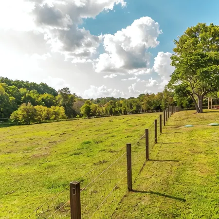 The Cabin at Roney Creek Ranch