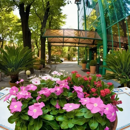 Hotel Michelangelo Отели в г. Форли