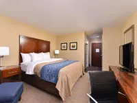 Comfort Inn & Suites Mandan - Bismarck Hotels in Mandan