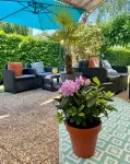 Hotel Campanile Nature - Cergy Pontoise - Pet Friendly