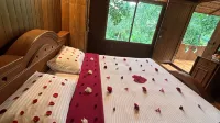 Planet Green Plantation Resorts, Wayanad, Kerala - balcony