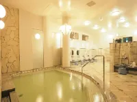 Hotel Takikawa - Hot Springs
