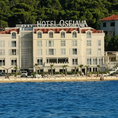 Hotel Osejava