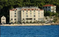 Hotel Osejava - Barer