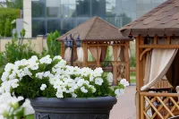 Hotel Home Parq - Wifi