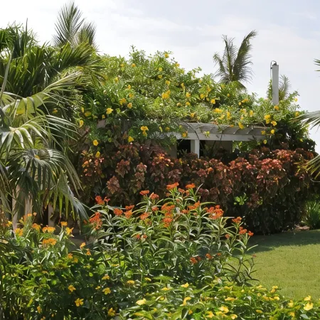Directly on Beach, Beachy Chic 2 BR - Heart of Grace Bay - Grandview Resort
