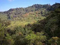 Hotel Don Moncho - 2 ดาว