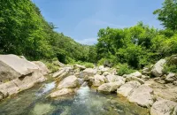 Pocheon Baegun Oyanggol Camping Site - 2-Star
