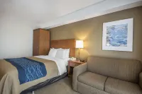 Comfort Inn - Pet Friendly