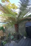 The Crow's Nest - A Cosy Village Cottage with Stunning Sea Views - 4-Star