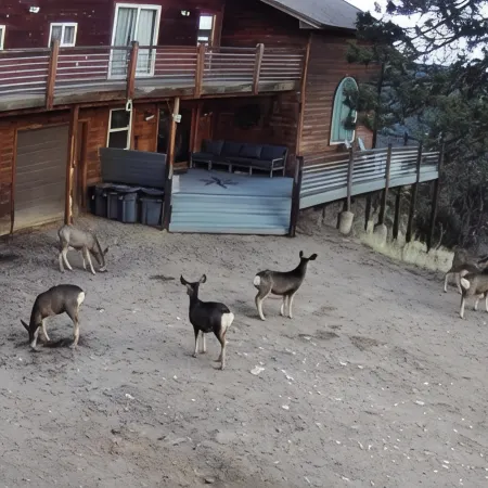 6 Bedroom Mountain Retreat  37 Acres, Close to Hwy 285, Borders National Forest