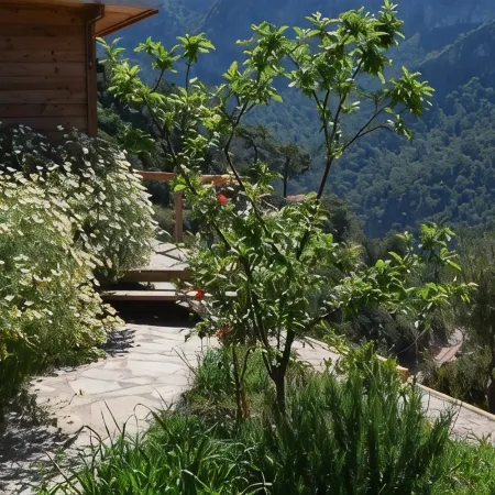 Kabak Avalon Bungalows