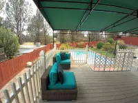 Jacob's Well - Homestays