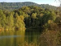 Pet friendly cottage on 17 acre Lake front property with dock and kayak access - Homestays