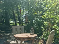 On a 40 acre estate, outdoor soaking tub,  fire pit, hammocks, pet friendly! - Wi-Fi