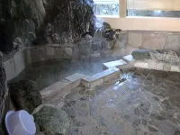 Business Hotel Rokugo - Alojamientos