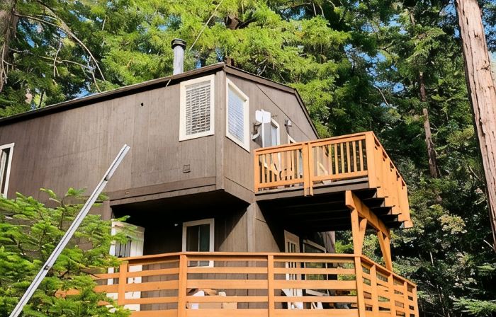 Surrounded by Redwoods with Ocean View & beach access