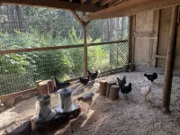 5-Acre Cabin. 1 Min to River Access & Downtown Post Falls. Near Cda - シャレー