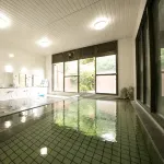 Hotel Ryusenkaku - 3 stelle