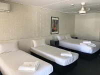 Vineland Motel Mildura Hotels near Kings Billabong