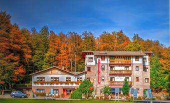 Albergo le Macinaie - Monte Amiata